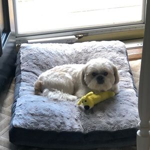 Meet your Posher, Ben